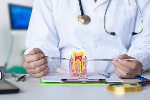 Best Emergency Treatment for Dental Infections or Abscesses in Mountain View, HI